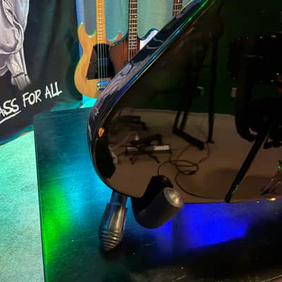 Gibson Rex Brown Signature Thunderbird 2022 - Present - Ebony image 5
