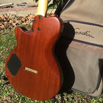 Godin Exit 22 S USA / Canada Mahogany Electric Guitar W/Bag image 8