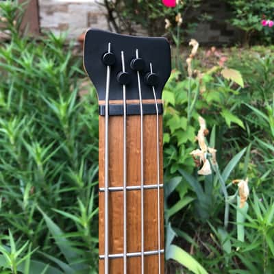 Ibanez EHB1000-PWM Bass Workshop 2020 - Present - Pearl White Matte image 6