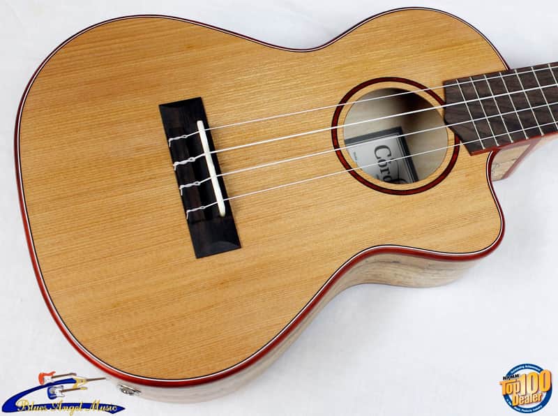Cordoba 24T-CE Tenor Single Cutaway Acoustic-Electric Ukulele Cedar/Maple #32759 image 1