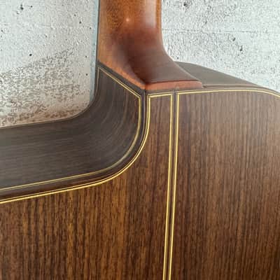 Altamira M30 with gig bag image 9