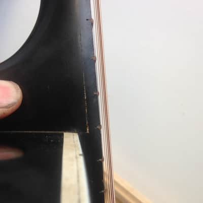 Silvertone 658 Archtop Acoustic 1966 Back And White image 12