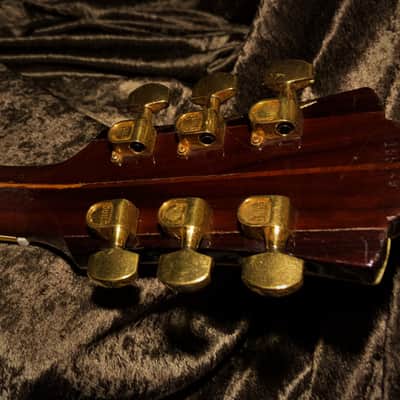 Guild F30 Rosewood Sunburst with F50 appointments Ultra Rare Bear Claw top Vintage Westerly Acoustic image 12