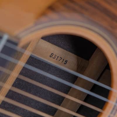 Daion Mark IV Acoustic - Yamaki Made - Serial 831715 image 20
