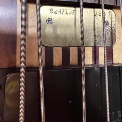 Alembic 6 string neck-through image 5