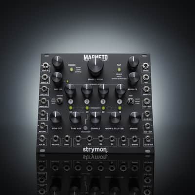 Strymon Magneto image 24