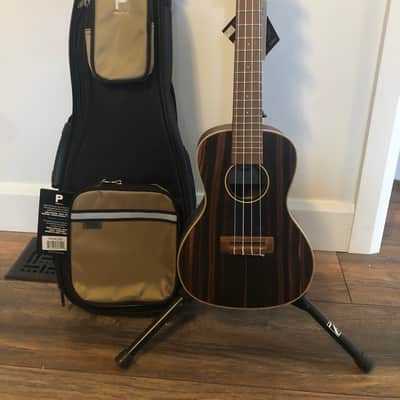 Kala KA-EBY-C Ebony Series Concert Ukulele 2010s - Satin Natural image 4