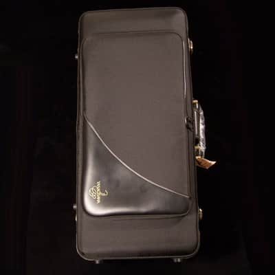 Yanagisawa Alto Saxophone AW020 Bronze Model Bronze image 6
