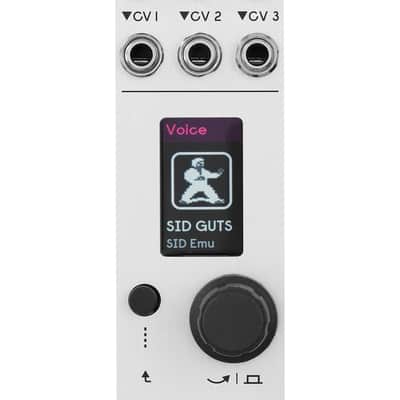 ALM/Busy Circuits Pamela's Pro Workout - Master Clock - Modulator 8hp  Utility Eurorack *AUTHORIZED DEALER image 7