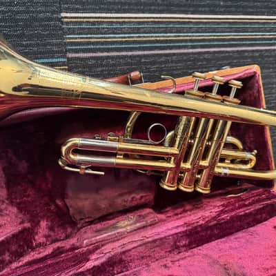 Holton Collegiate cornet - yellow brass, nickel ferrules image 2