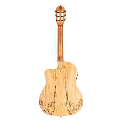 Ortega Signature Series Thomas Zwijsen Acoustic-Electric Nylon Classical Guitar w/ Bag image 7
