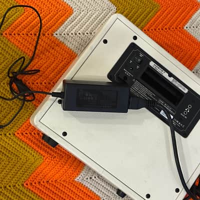 Mooer Hornet Amplifier - Solid Living Room Amp! - image 6