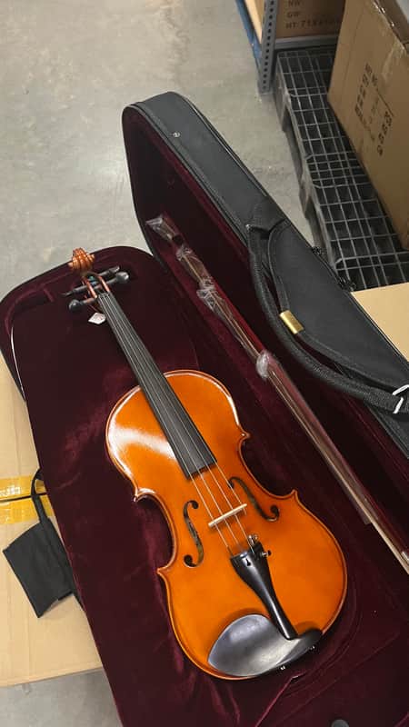 SanMarco DVA-300 16" Viola, maple flamed back, full ebony parts, E strings tuners, ebony bow and oblong case. image 1