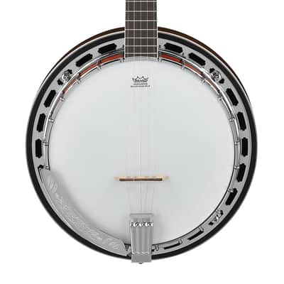 Ibanez B200 5-String Banjo image 1