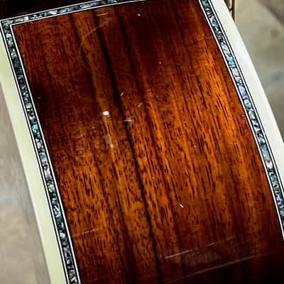 Firefly GD-45E 2025 - Natural image 5