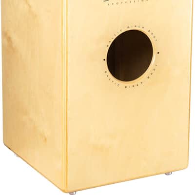 MEINL SCP100WN image 3