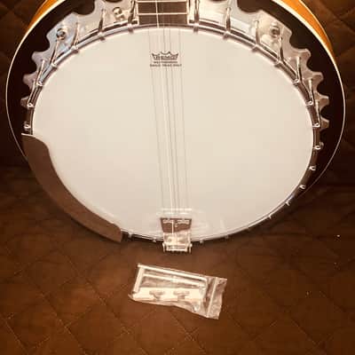 Washburn B10 Americana Series Remo Top Wood Mahogany Neck 5-String Banjo w/Mahogany Resonator image 2