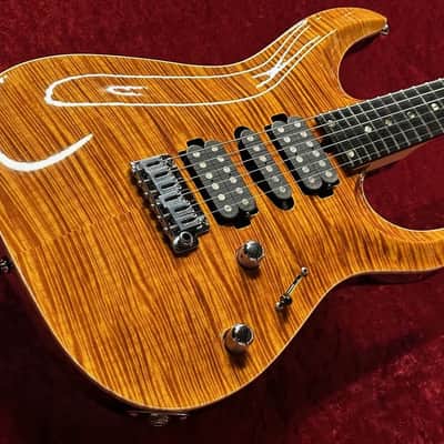 T's Guitars DST-24 Carved Top [Made in Japan] [GSB019] image 4