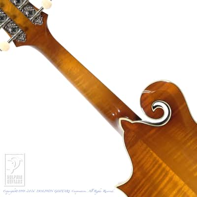 Eastman MD-614/GB image 6