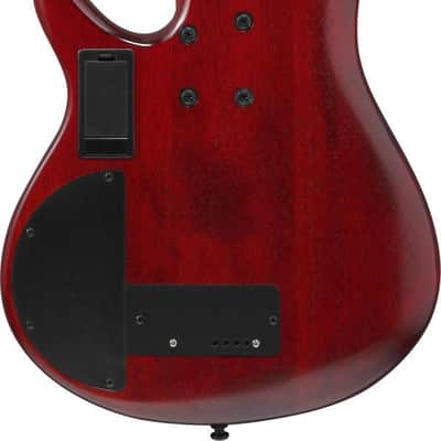 Ibanez SRD900F-BTL Bass Workshop SR Electric Bass 4-String Fretless - Brown Topaz Burst Low Gloss image 18