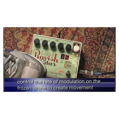 Electro-Harmonix Ravish Sitar Emulator Pedal with Selectable Decay Speed image 4