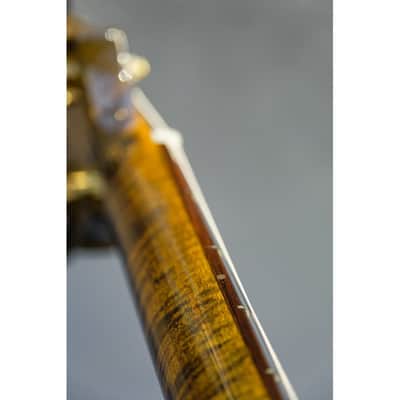 2001 PRS Private Stock Hollow Body II TI reverse LH lefthanded yellow tiger image 6
