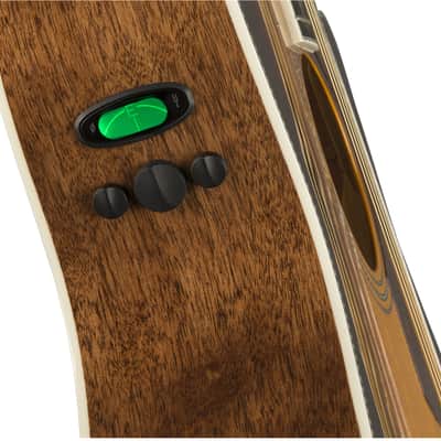 Fender E/A Paramount PM4 CE Edition Limitée Auditorium  Sunburst image 2