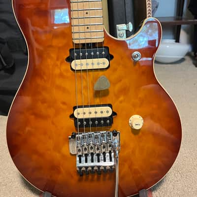 Ernie Ball Music Man Eddie Van Halen Signature Floyd 1991 - 1995 - Various image 2