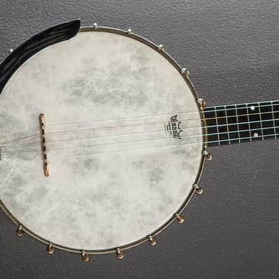 S.S. Stewart Princess 5 String Banjo, Late 1800's image 1