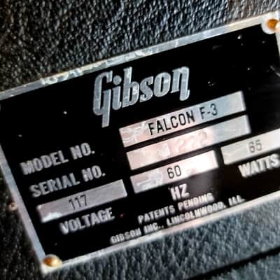 1969 Gibson Falcon III - F-3 - Solid State Combo Amp image 2