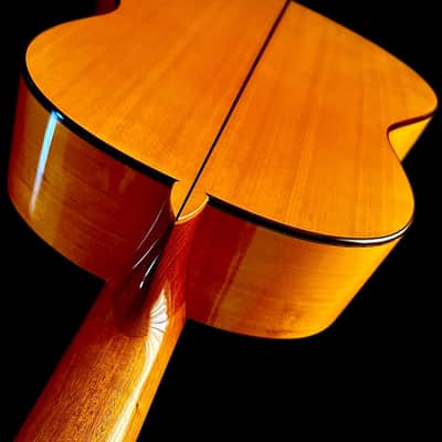 Omar Olague Double Back Concert Flamenca Blanca Especial 2024-Spruce/Cypress image 14