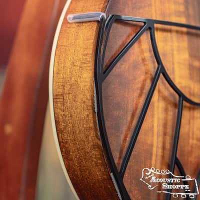 Tone-Gard Mandolin - Vintage image 9