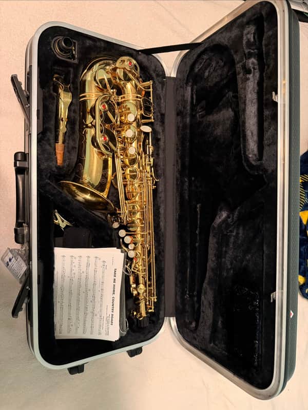 Accent AS710L Late-2010s - Gold image 1