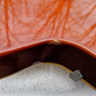 2009 Edwards Pure Material Honey Burst image 15