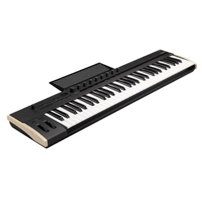 Teclado controlador KORG Keystage 61 image 3