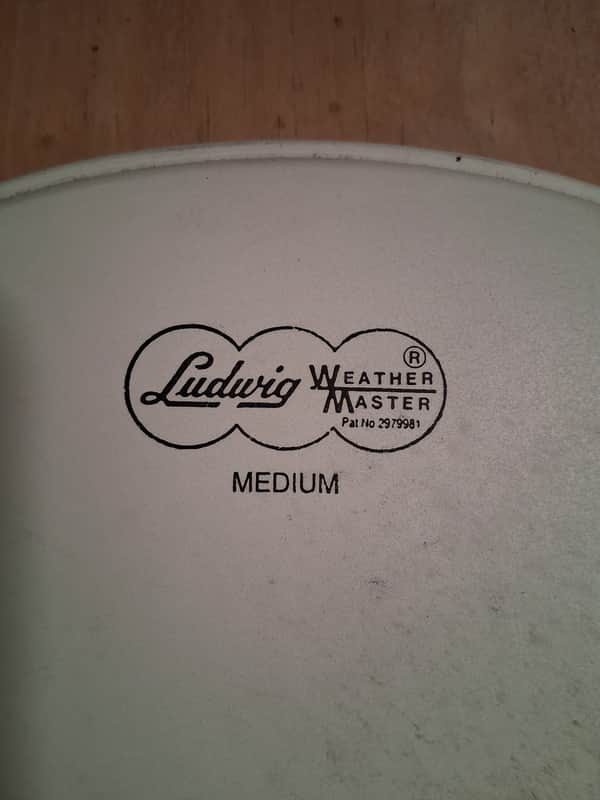 Ludwig 14" Weather Master 2000's - Coated image 1