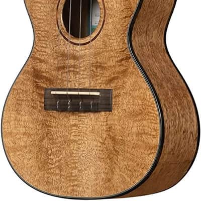 Kala Metropolitan Series, 4-String Ukulele, Concert KA-MNGG-C-W-Bag image 4