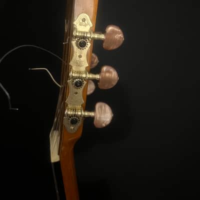Japanese Classical Guitar Eastman C008 1970 image 9