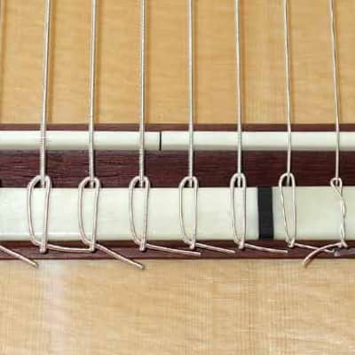 LUCIO NÚÑEZ Sophia 13-String Classical Harp Guitar, Spruce/Ziricote, w/Custom Case, Extremely Rare!! image 16
