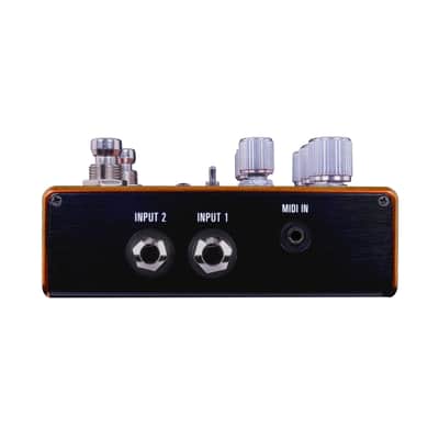 New Source Audio SA281 Pathways Reverb & Tremolo Guitar Effects Pedal image 2