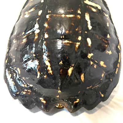 Turtle Shell Tenor Ukulele image 4