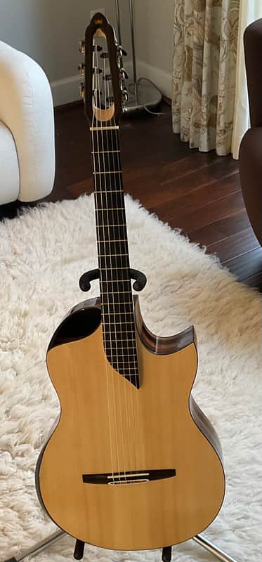 Turkowiak guitars image 1