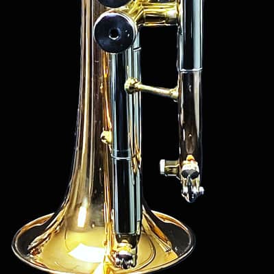 SCHILLER Shepards Crook Pro Elite Cornet in Brushed Rose 2019 image 13