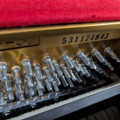 Wurlitzer Continental Console SN 531124843 - Polish Ebony image 3