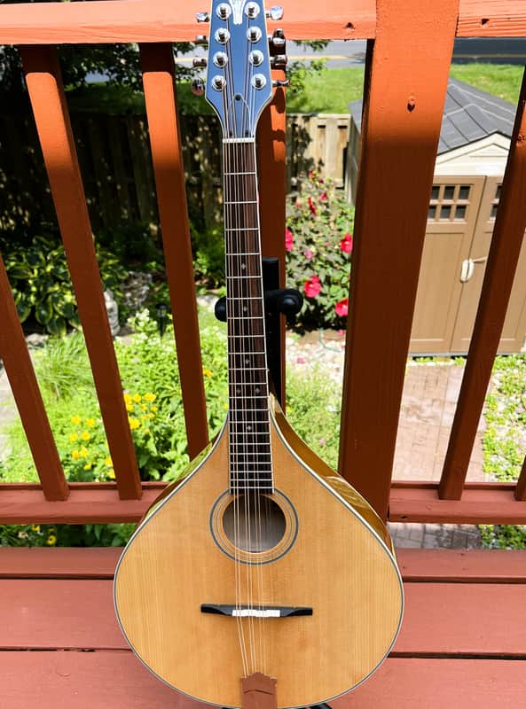 Immagine Trinity College TM-325 Octave Mandolin w/ Hard Case - 1
