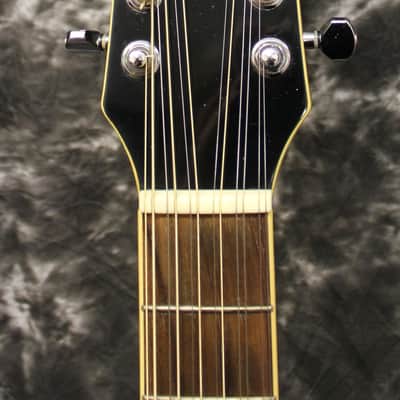 1999 Samick Artist Nightingale SW-260 12 String Black Dreadnought Acoustic Guitar image 6