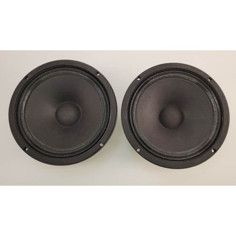 B&C Speakers 10HPL51-8 Woofer Pair - Black - Tested image 1