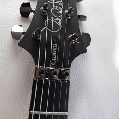 PRS Custom 24 Floyd Wood Library image 4