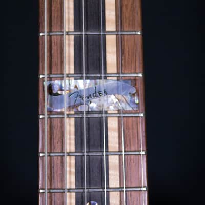 Fender Custom Shop Telecaster 2000 Aztec Leo [One-of-a-kind Masterbuilt] [Jose Guerrero] image 14