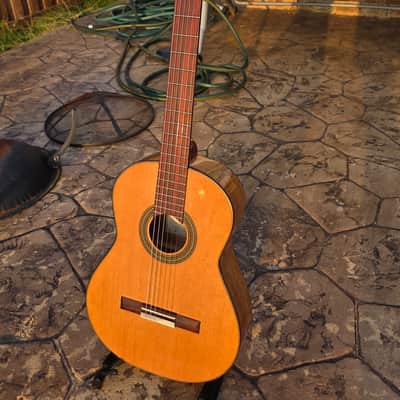 Daniel Garcia Classic Guitar All Solid Palo Escrito with Cedar Top 2025 - Laquer image 16